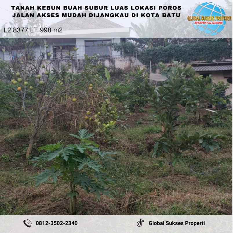 dijual tanah sontoloyo