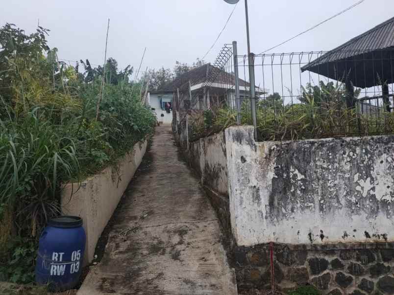 dijual tanah sontoloyo