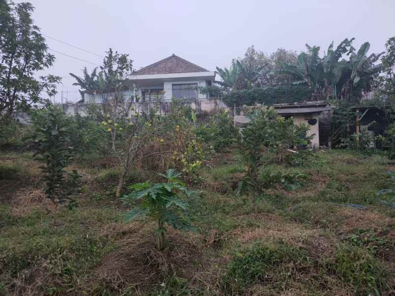 dijual tanah sontoloyo