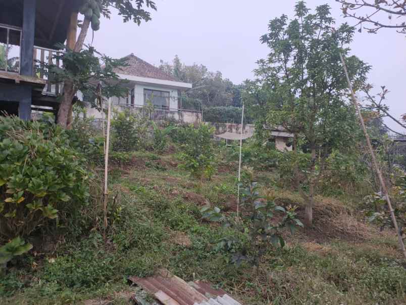 dijual tanah sontoloyo