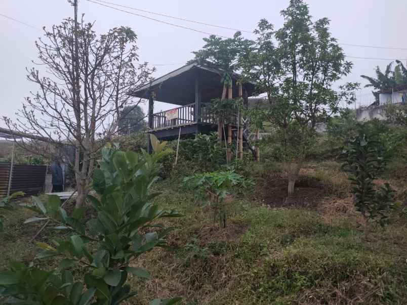 dijual tanah sontoloyo bulukerto