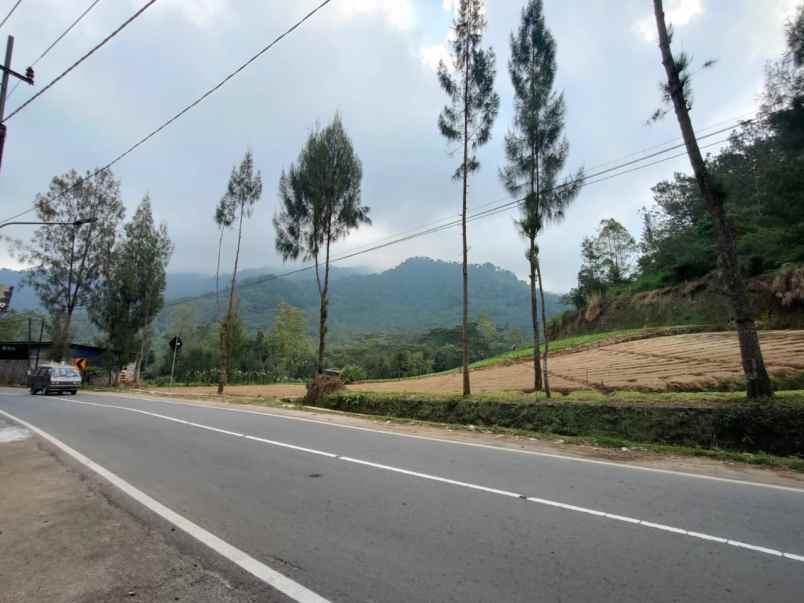 dijual tanah sumber brantas