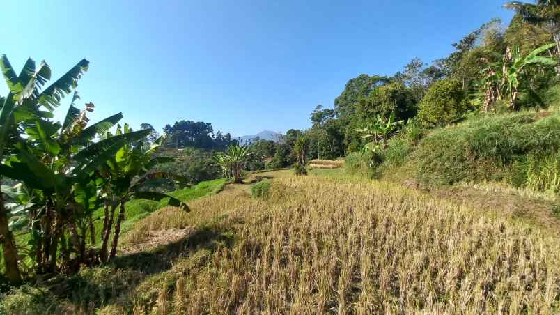 dijual tanah sumedang selatan