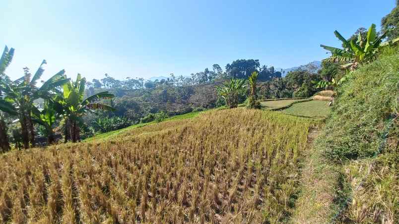 dijual tanah sumedang selatan