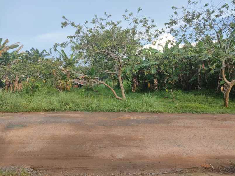 dijual tanah talang jambe