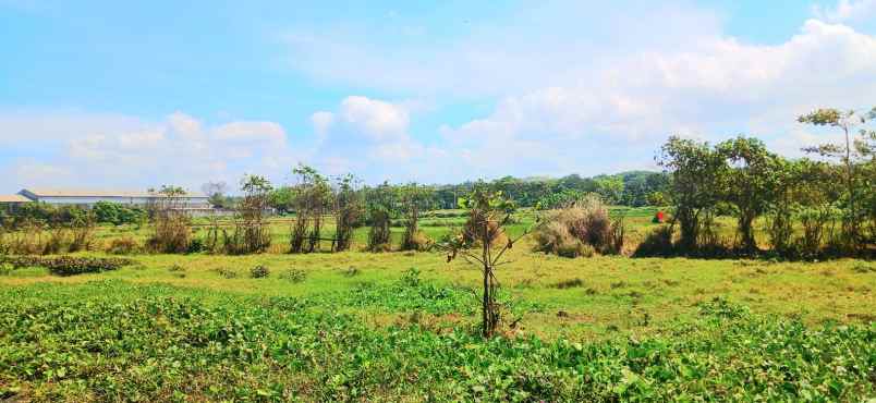 dijual tanah tulikup gianyar bali