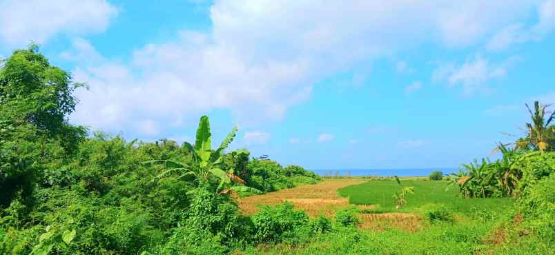 dijual tanah tulikup gianyar bali