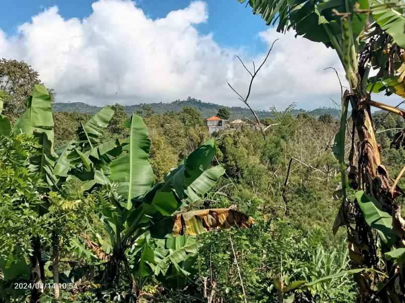 dijual tanah wanagiri buleleng bali