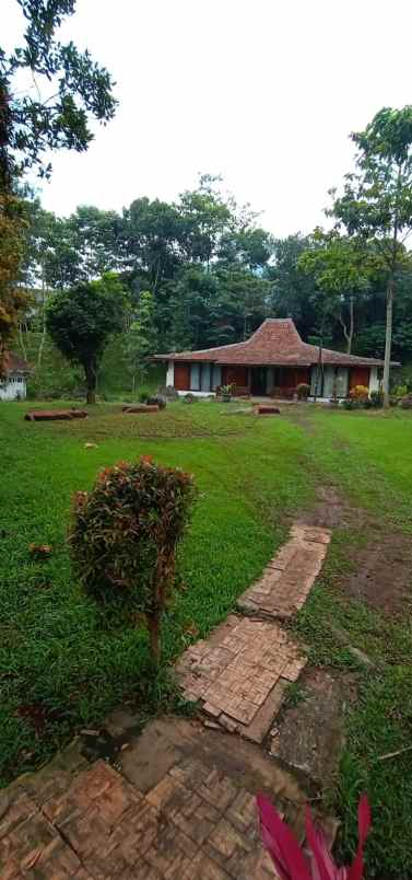 dijual villa cibulan