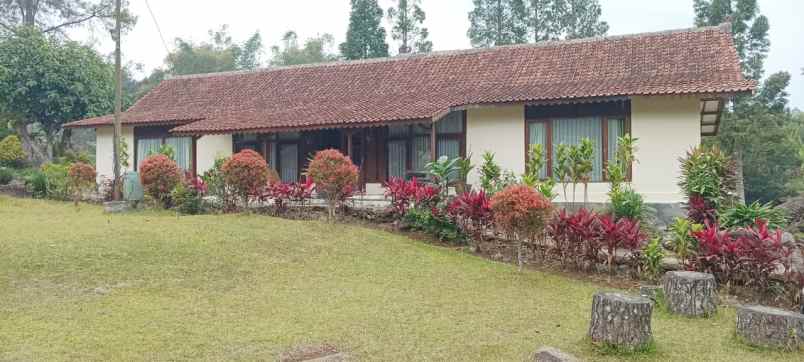 dijual villa cibulan