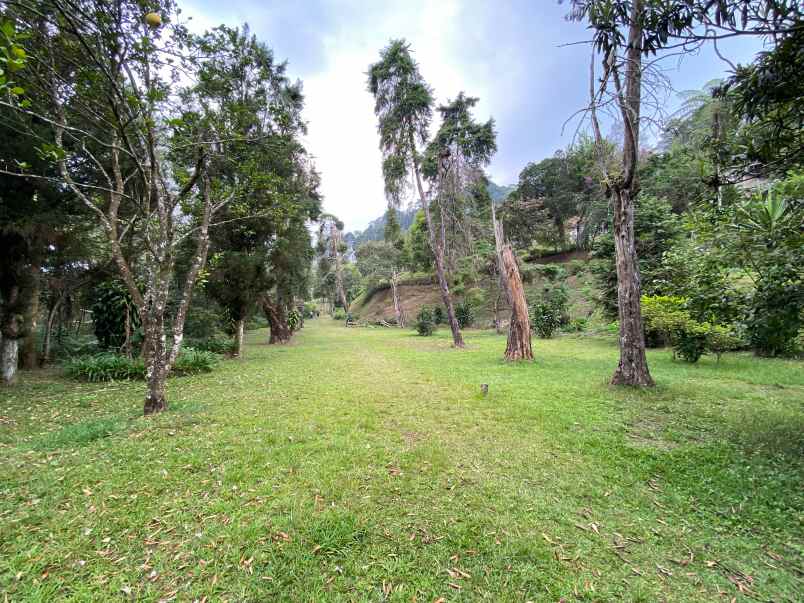 dijual villa dan tanah pinggir jalan di puncak pass