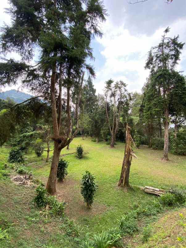 dijual villa dan tanah pinggir jalan di puncak pass