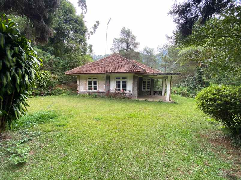 dijual villa dan tanah pinggir jalan di puncak pass