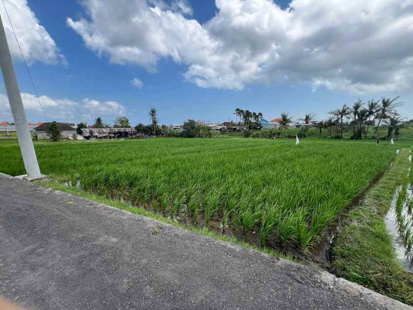 disewakan tanah dekat pantai lima munggu