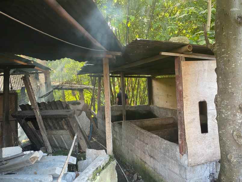 disewakan tanah di kesiman kertalangu