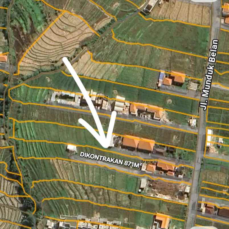 disewakan tanah seseh