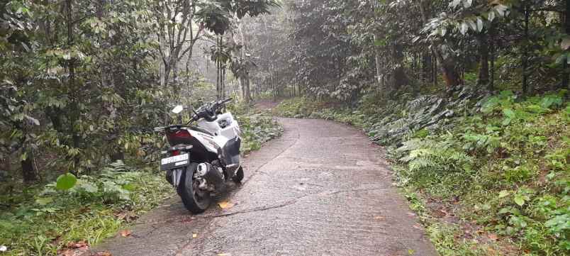 jual cepat tanah kebun manggis sama durian