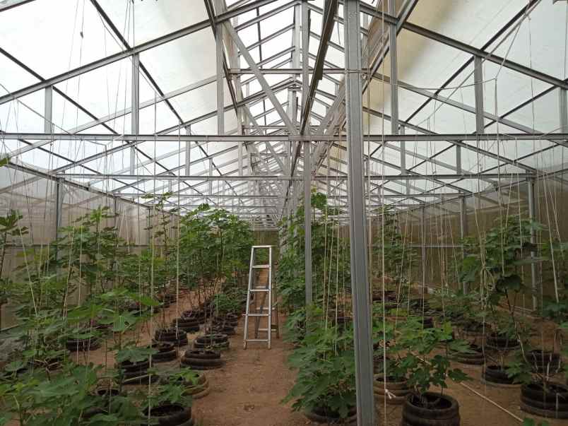 jual tanah pertanian dan green house di cilegon