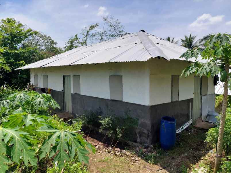 jual tanah pertanian dan green house di cilegon