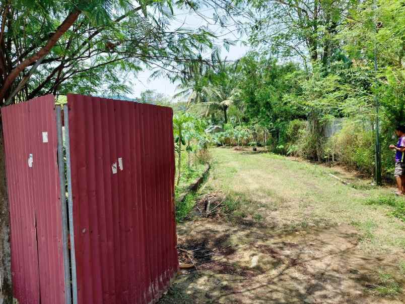 jual tanah pertanian dan green house di cilegon