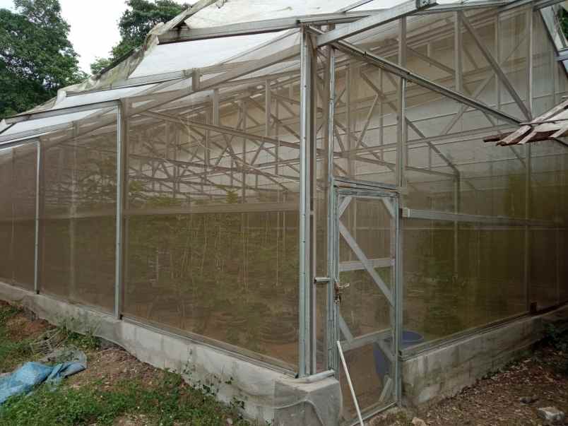 jual tanah pertanian dan green house di cilegon