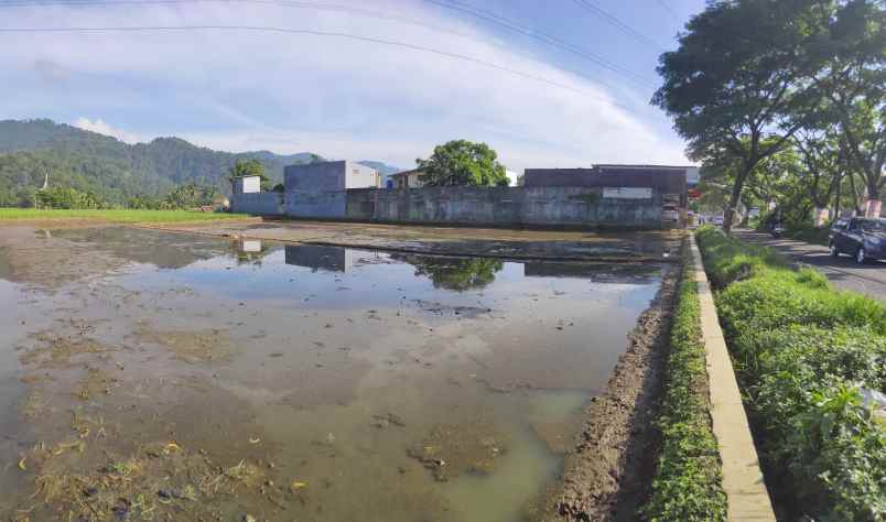 jual tanah sawah murah produktif dan strategis cianjur