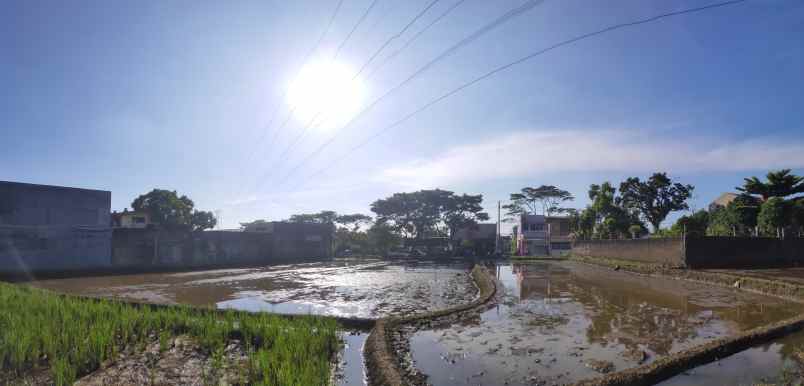 jual tanah sawah murah produktif dan strategis cianjur