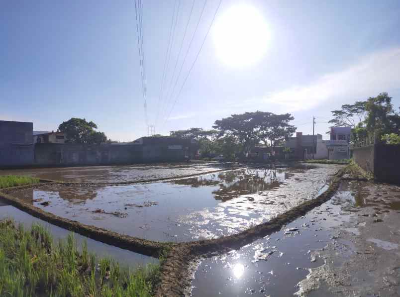 jual tanah sawah murah produktif dan strategis cianjur