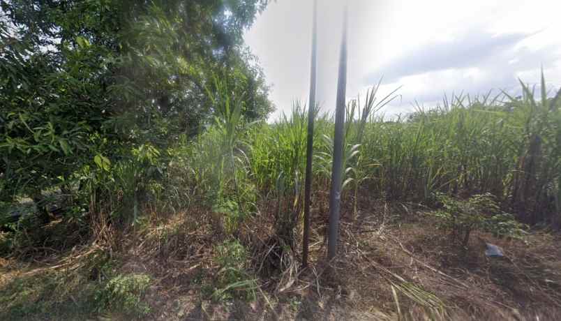 lahan industri siap bangun termurah di mojokerto