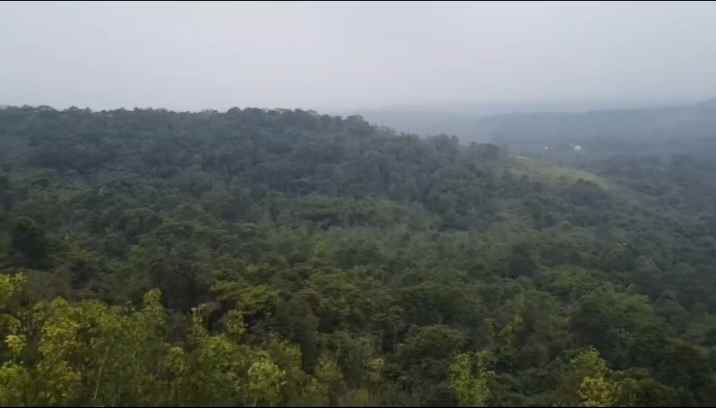 lahan kebun view bagus untuk perkebunan subang