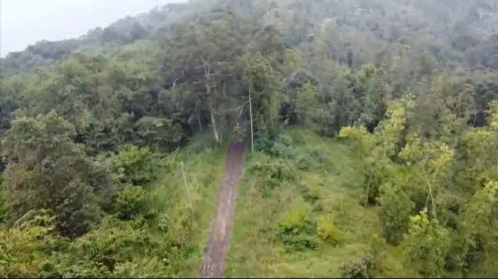 lahan kebun view bagus untuk perkebunan subang