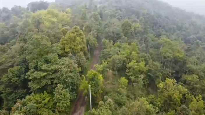 lahan kebun view bagus untuk perkebunan subang