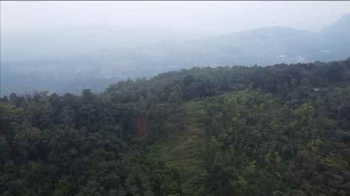lahan kebun view bagus untuk perkebunan subang