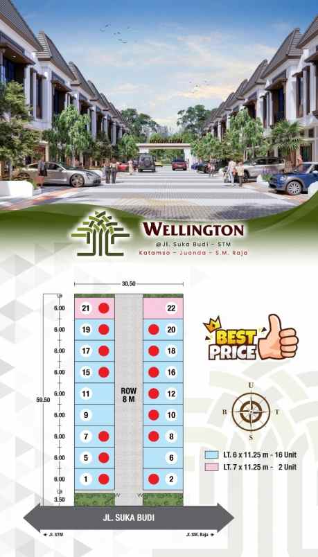 new project jual rumah villa baru komplek wellington
