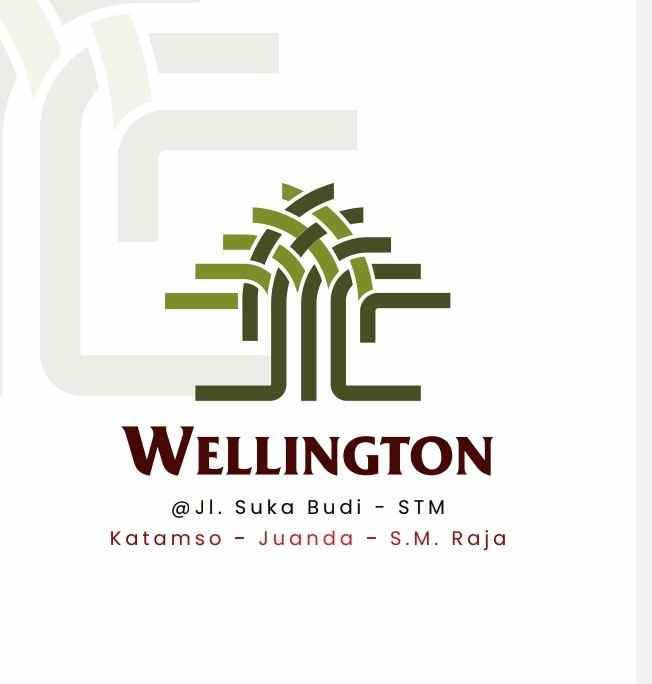 new project jual rumah villa baru komplek wellington