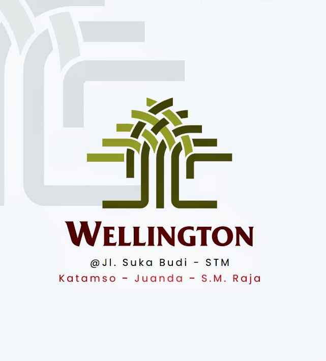 new project jual rumah villa baru komplek wellington