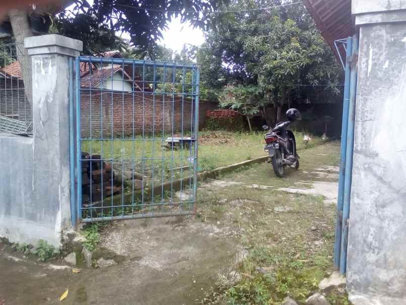 rumah kontrakan aktiv 4 pintu siap huni