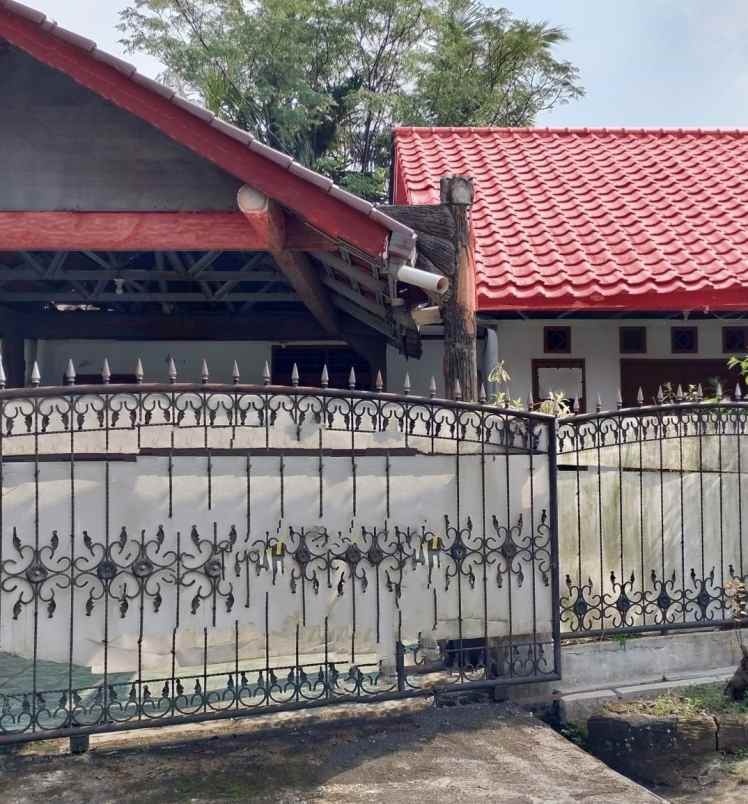 rumah luas adem cocok buat ngewarung di cibinong bogor