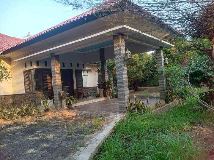 rumah mewah halaman luas siap huni