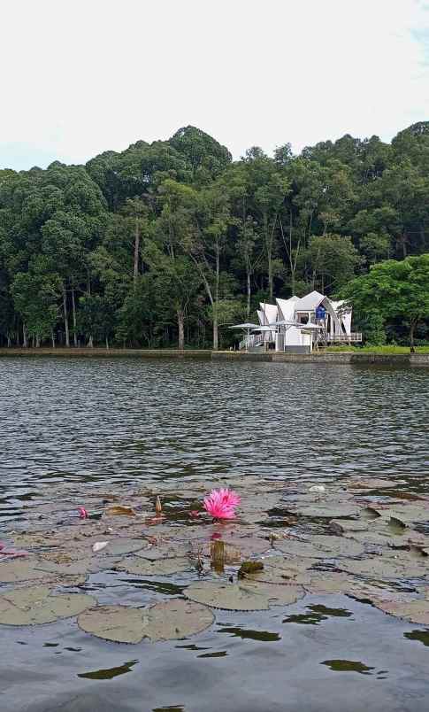 sinbad rumah 2 lantai hanya 5 juta