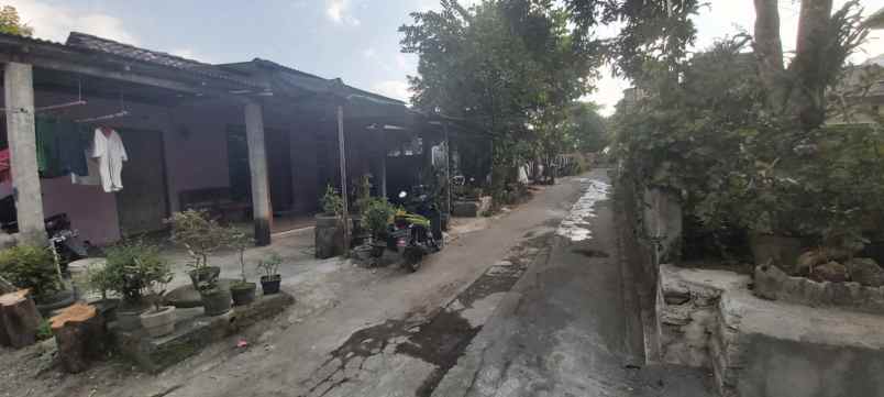 tanah bonus rumah di prambanan property murah jogja