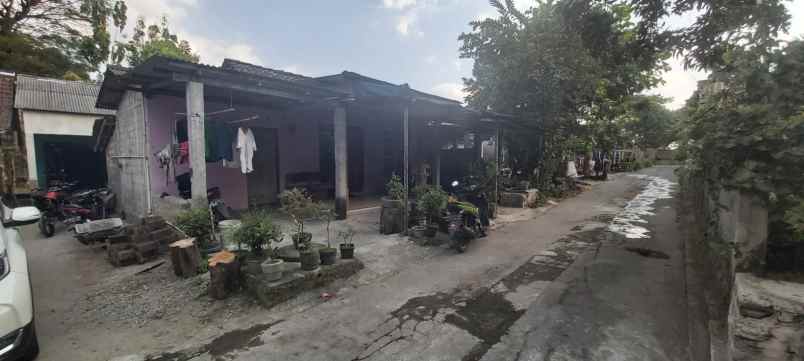 tanah bonus rumah di prambanan property murah jogja