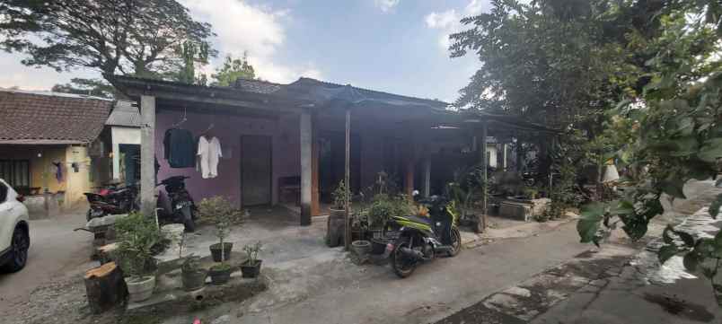 tanah bonus rumah di prambanan property murah jogja