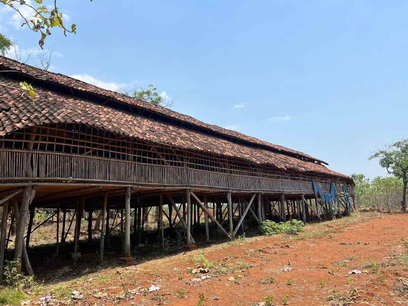 tanah datar 750m timur pasar kedawung sragen