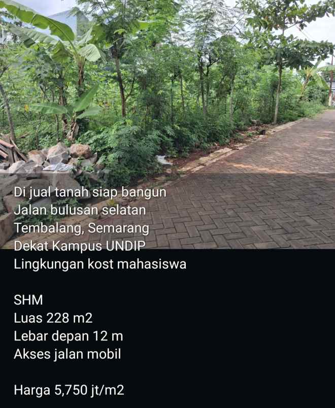 tanah dekat undip tembalang semarang