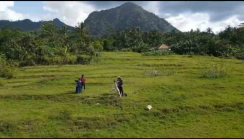 tanah desa sukamulya kec