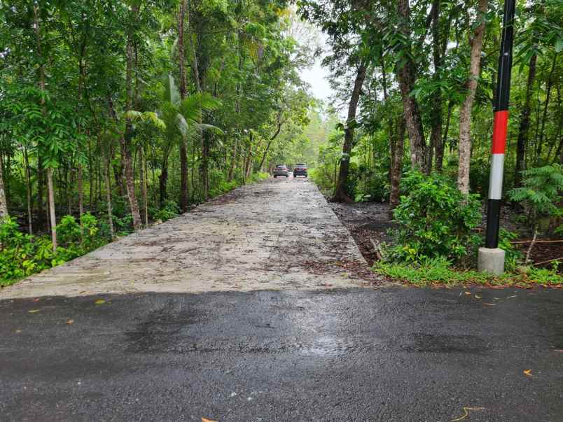 tanah di panjatan dekat polres kulon progo shm