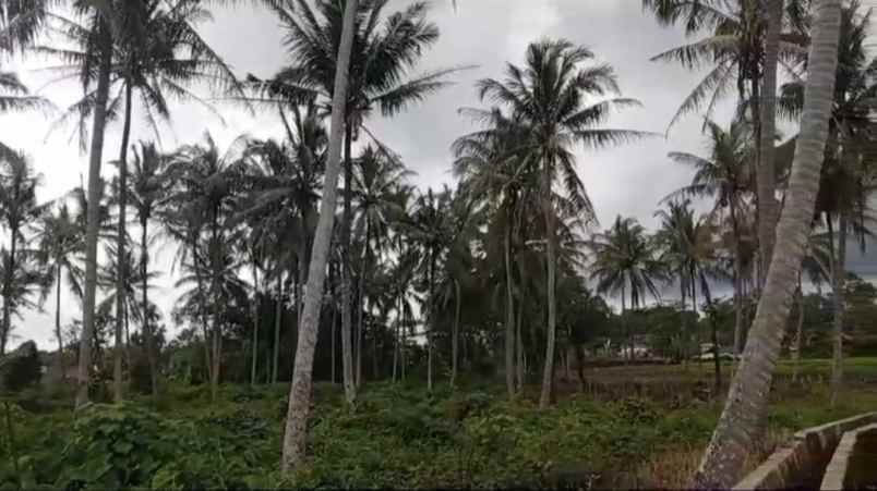 tanah di raden gunawan negeri sakti luas 8000m shm