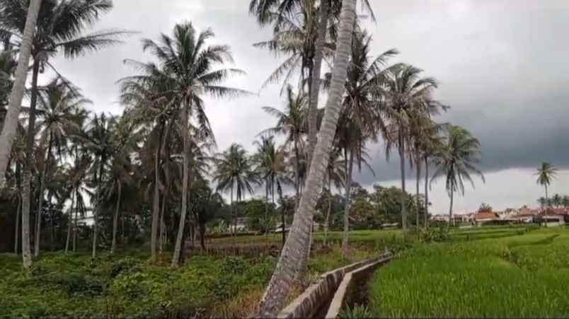 tanah di raden gunawan negeri sakti luas 8000m shm