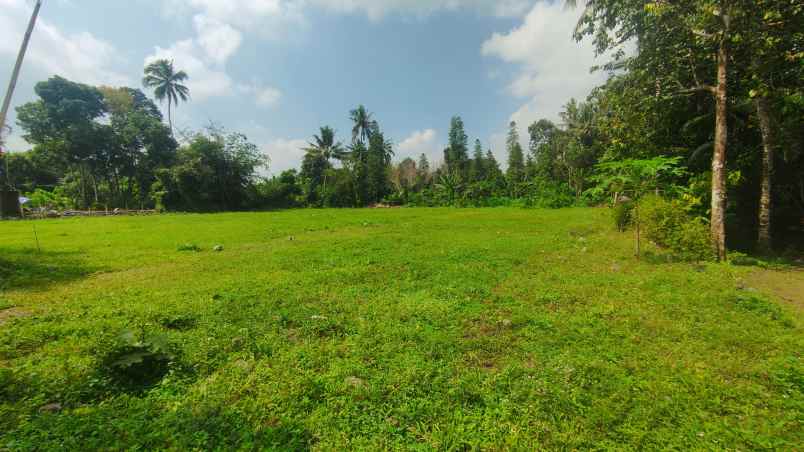 tanah kavling di jl magelang km 17